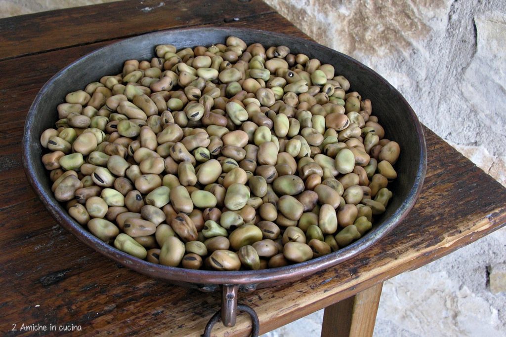 Fava-cottora-dellAmerino-1024x683