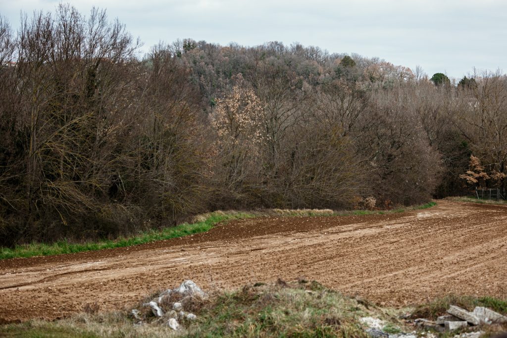 Ass. dei Produttori della Fava Cottòra 2