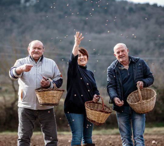 Fava Cottòra Producers Association