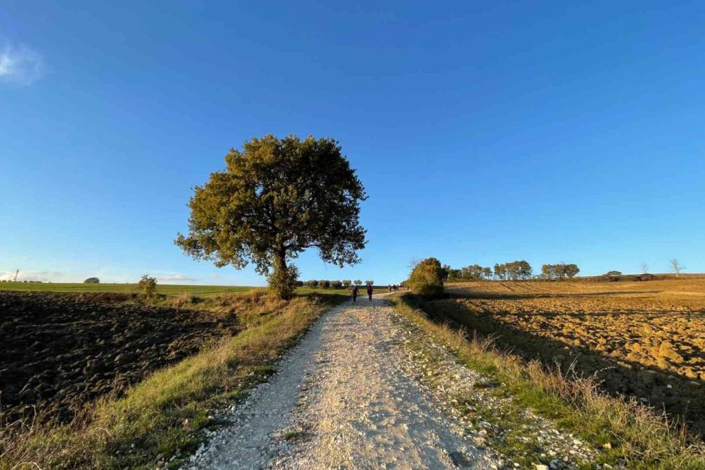 Lunedì 24 e martedì 25 aprile due trekking nei borghi di Avigliano Umbro (Tr) e Montecastrilli (Tr) con degustazioni e martedì 25 aprile workshop presso la Fiera Agricollina