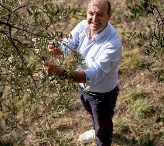 olive press Suatoni