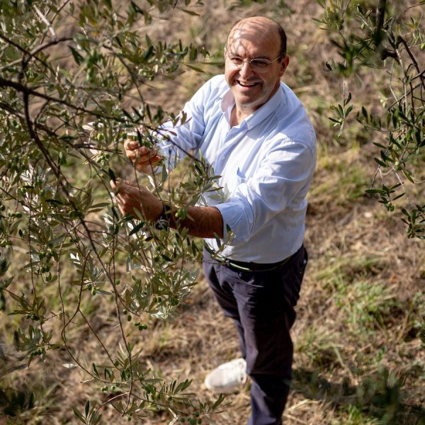 olive press Suatoni