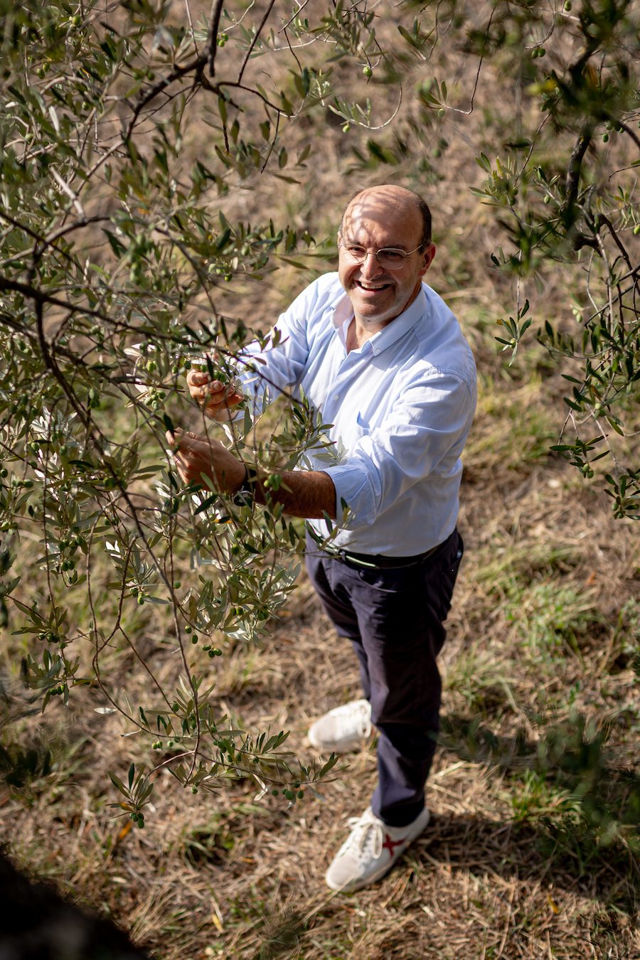 olive press Suatoni