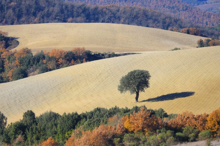 foto di Marco Ludovisi