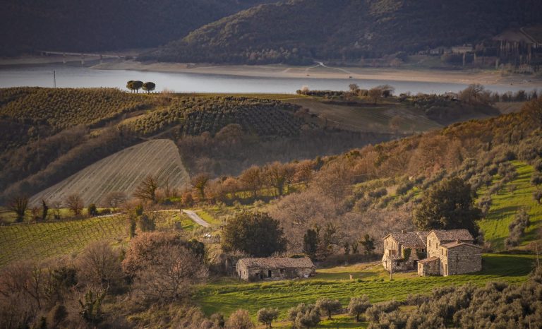 foto di Marco Ludovisi