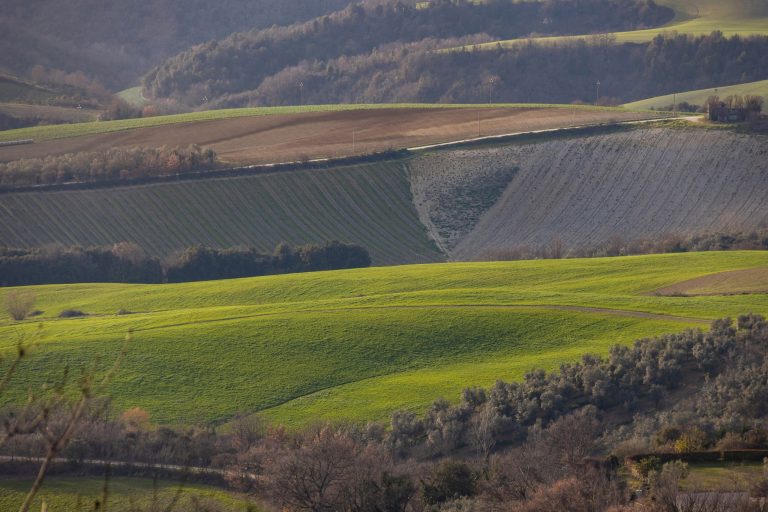 foto di Marco Ludovisi