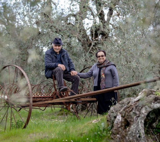 Agriturismo Oliveto