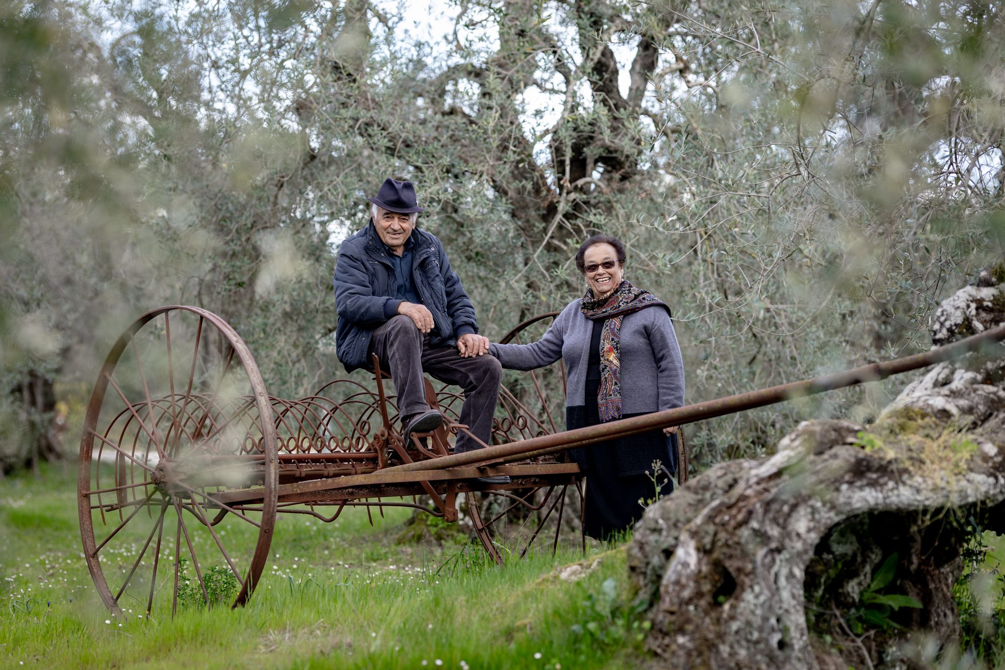 Agriturismo Oliveto