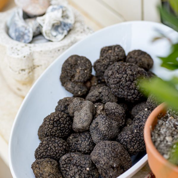 Truffle Tour: Good, Healthy, and Sustainable