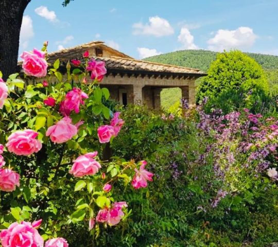 Relais La Tenuta del Gallo